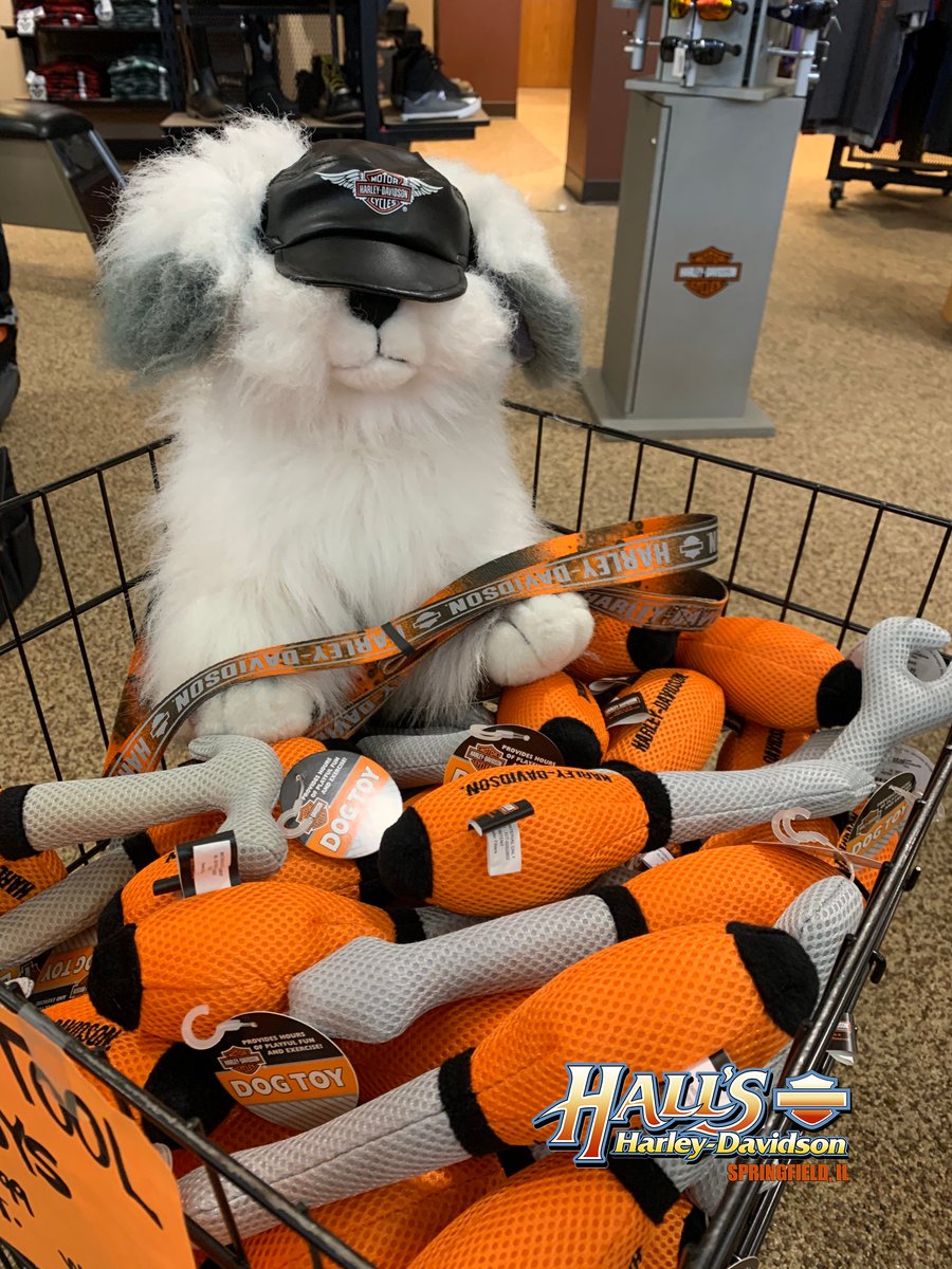 Hall's Harley tweet media