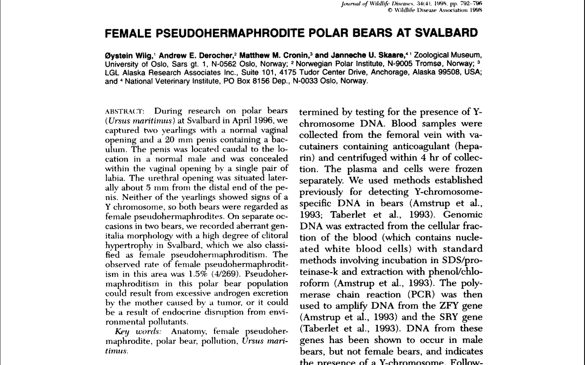 Andrew Derocher tweet media