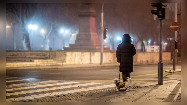 Pasi3Buda's tweet photo. These 11 excellent #photos  tell you how #dogs and their owners take over #Budapest’s streets after #curfew 🐶🐕
➡️ #Hungary #curfewHUN  #StateOfEmergency #lockdownHUN #shutdownHUN #CoronaHUN #restrictionsBUD #stayathome  #pets #petsHUN 
https://t.co/E4pUKbUSWA https://t.co/aETyGIO2fk