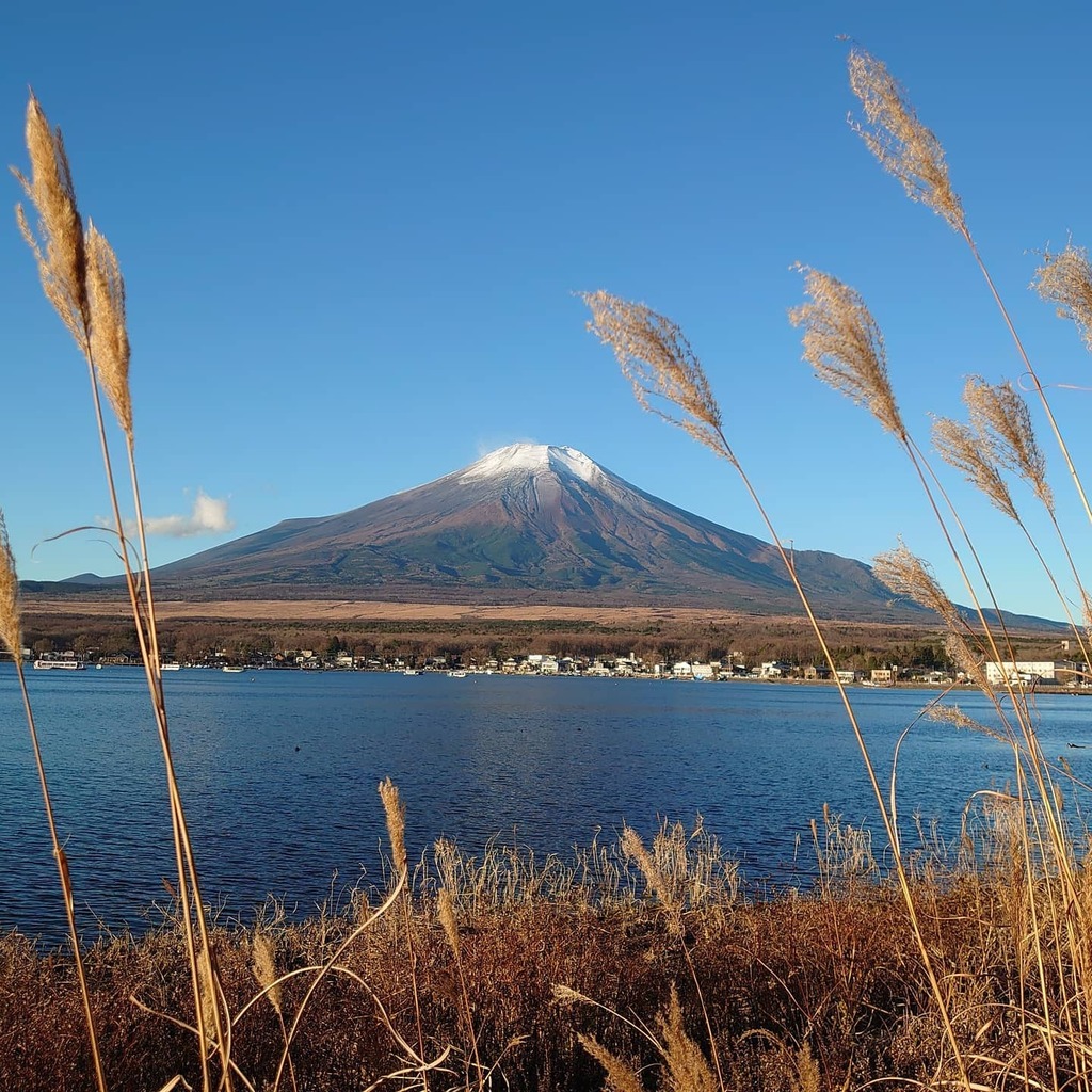 ススキと富士山 Twitter Search