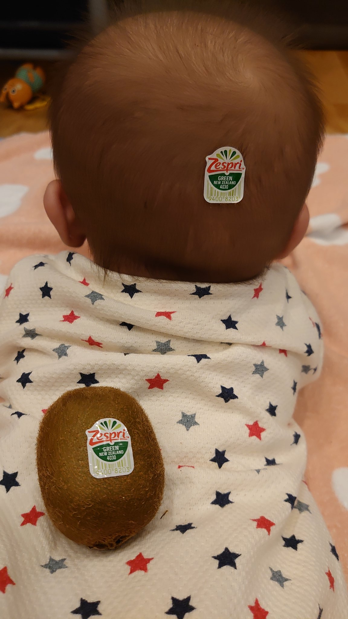 X 伝説の雅 X 先日 今が旬のキウイフルーツを食べました 結構 甘くて美味しかった キウイフルーツって 今まであまり買って食べること無かったなぁ 赤ちゃんキウイ T Co Y4e34nth1g Twitter