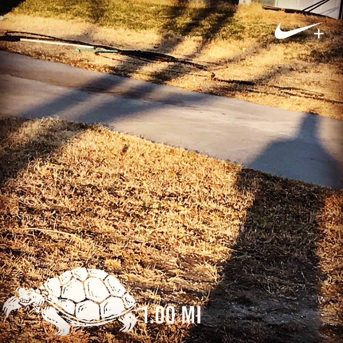 chadfreyks's tweet image. Ran 1.00 miles with Nike⁠ Run Club. Long shadows today. #turtlepace #runyourrace #NewtonKS #blackfridayrun