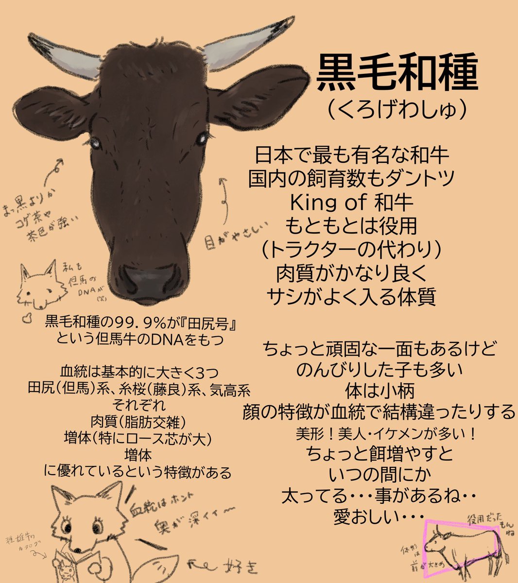 和牛4品種の話🐂

年賀状のイラスト、乳牛だけじゃなくて和牛はどうですか?

日本の宝、和牛って『黒毛和牛』だけじゃ無いって知って欲しいな✨

和牛には色んな魅力詰まってます
#牛 #牛イラスト #和牛 
