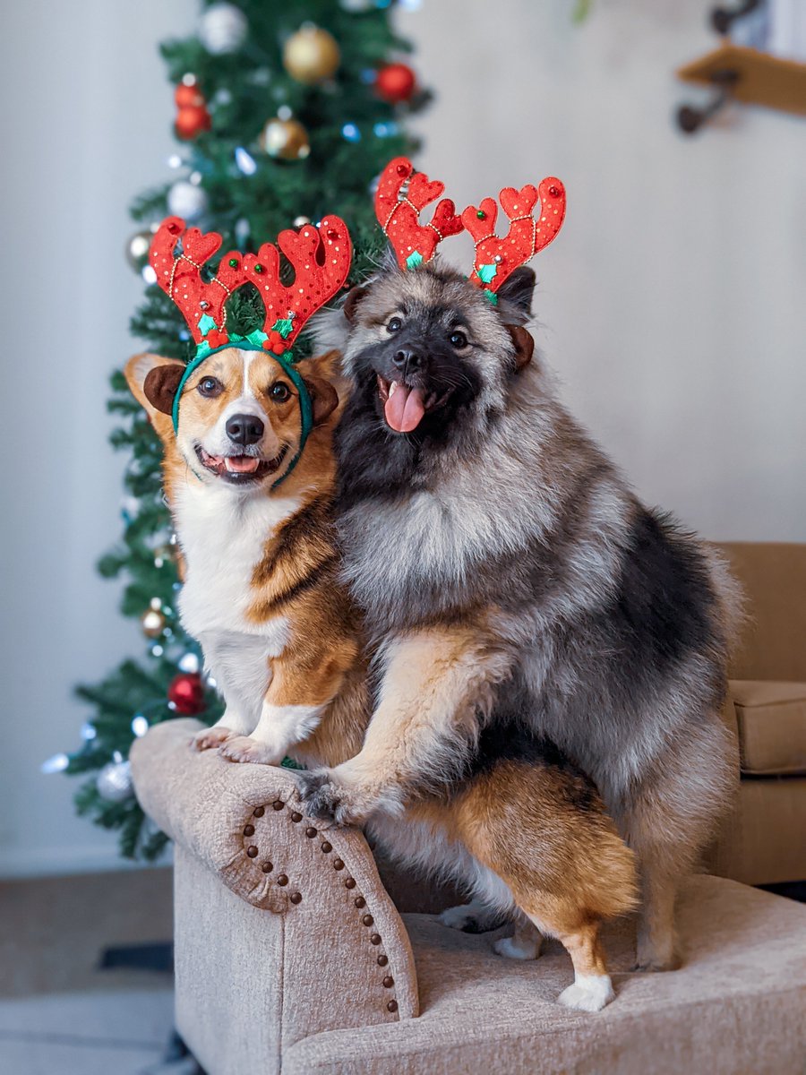 PAVGOD's tweet photo. YALL LOOK HOW CUTE THEY ARE https://t.co/t0J82HSsHK