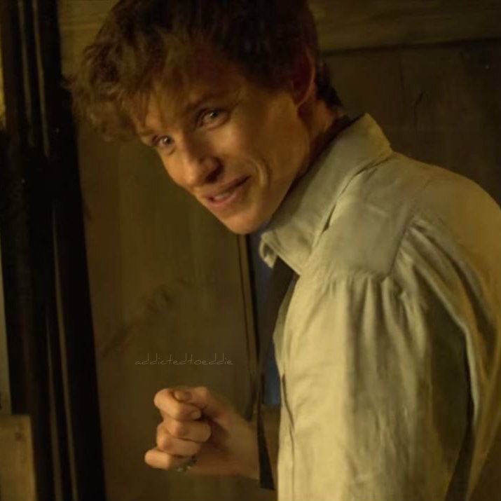 anna as newt scamander -awkward but smart in their own way-loves animals and creatures-human contact makes them nervous -witty