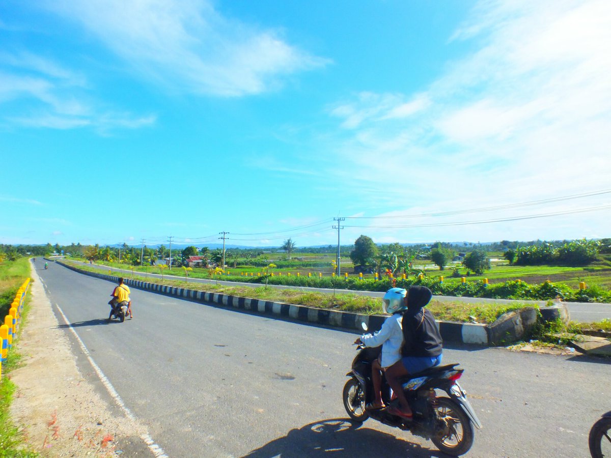 Allmedo4's tweet image. Kutik lonceng bole