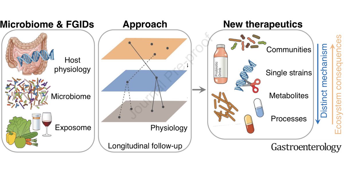 KashyapPurna's tweet photo. Our review now online @AGA_Gastro @rubenmars outlines current approaches &amp; gaps and provides roadmap for accelerating translation of #gutmicrobiome science towards precision therapies in #FGID like #IBS. integrated #multiomics #AI longitudinal studies  https://t.co/BnXX3Cxv0o https://t.co/vFNZucmTMZ
