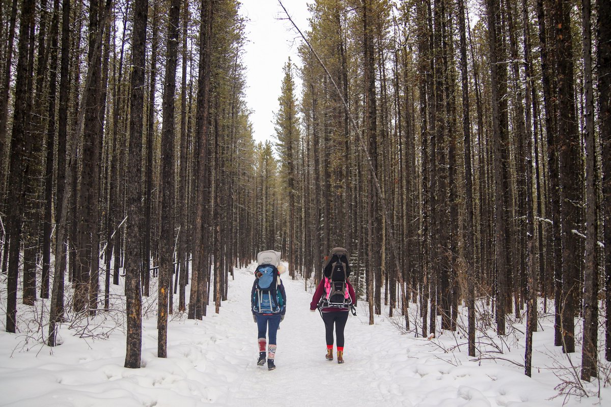 Albertaparks's tweet photo. It’s important to #KnowBeforeUGo. Always check for current advisories and trail reports on https://t.co/pqpuZHIt71 before you visit our parks. If you’re headed to the mountains, always check avalanche reports at https://t.co/XTTRX5trzS. https://t.co/KG5Cl6lBAQ