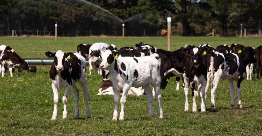 Where are you looking for reliable farming solutions at the moment?  Check out our new blog post which may give you some insights: buff.ly/3jW9eu0