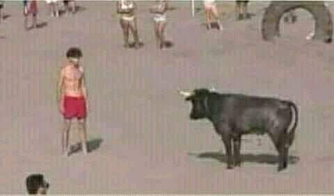 invocados_ofc's tweet photo. "prefere lutar com um boi ou toma banho?"

eu https://t.co/khIakZ0xWd