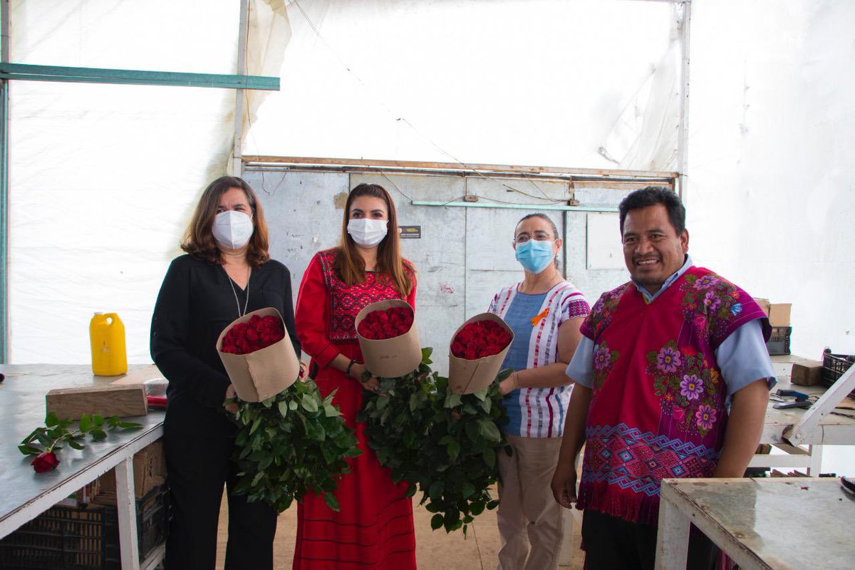 La titular de la #SAGyP, Zaynia Andrea Gil Vázquez, junto a la #FAO, #SADER, y #SEMAHN, encabezó el recorrido por invernaderos destinados a la floricultura en el municipio de #Zinacantán.
¡Con el campo, #ChiapasEsMásFuerte!
👉 https://t.co/Pykyorjcvf https://t.co/x8OP3Q3da4