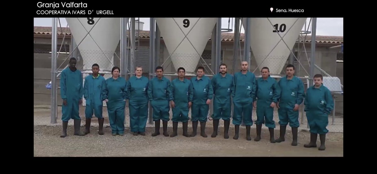 ANPROGAPOR tweet media