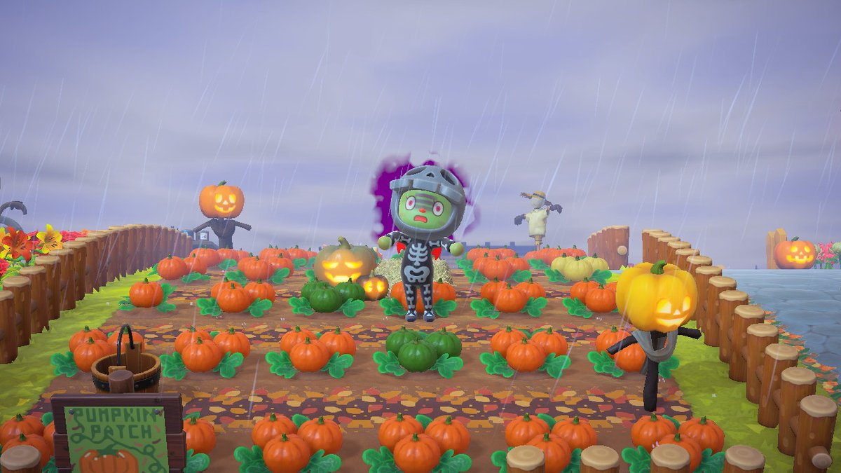 ashes424's tweet image. 