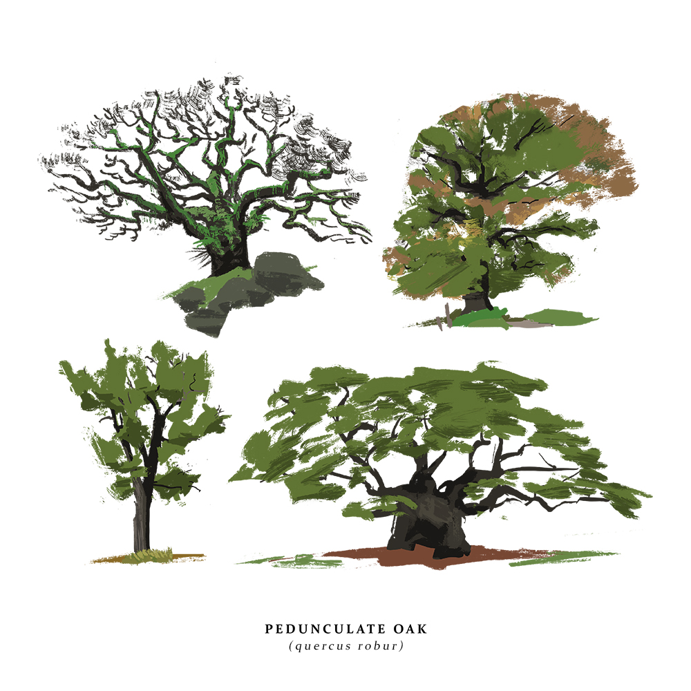 How about some trees? I've added these guys to my inprnt store for the sale this weekend. ? 