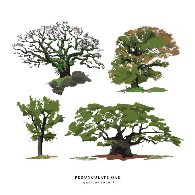 How about some trees? I've added these guys to my inprnt store for the sale this weekend. ? 
