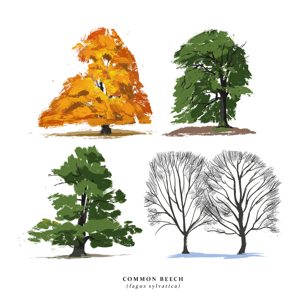 How about some trees? I've added these guys to my inprnt store for the sale this weekend. ?