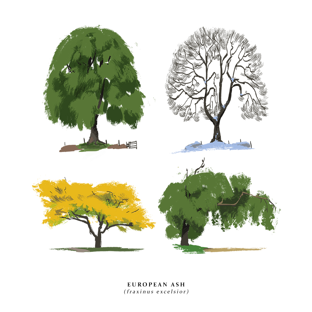 How about some trees? I've added these guys to my inprnt store for the sale this weekend. ?
