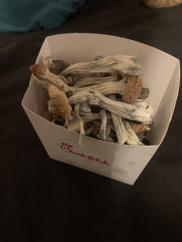 thedrugtribe's tweet photo. Chick-Fil-A's new fries be hitting different https://t.co/pekt19I2XQ