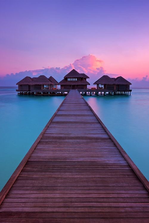 INTERIORPORN1's tweet photo. Bali is where I need to be... 🥰 https://t.co/tuD2eTLCiB