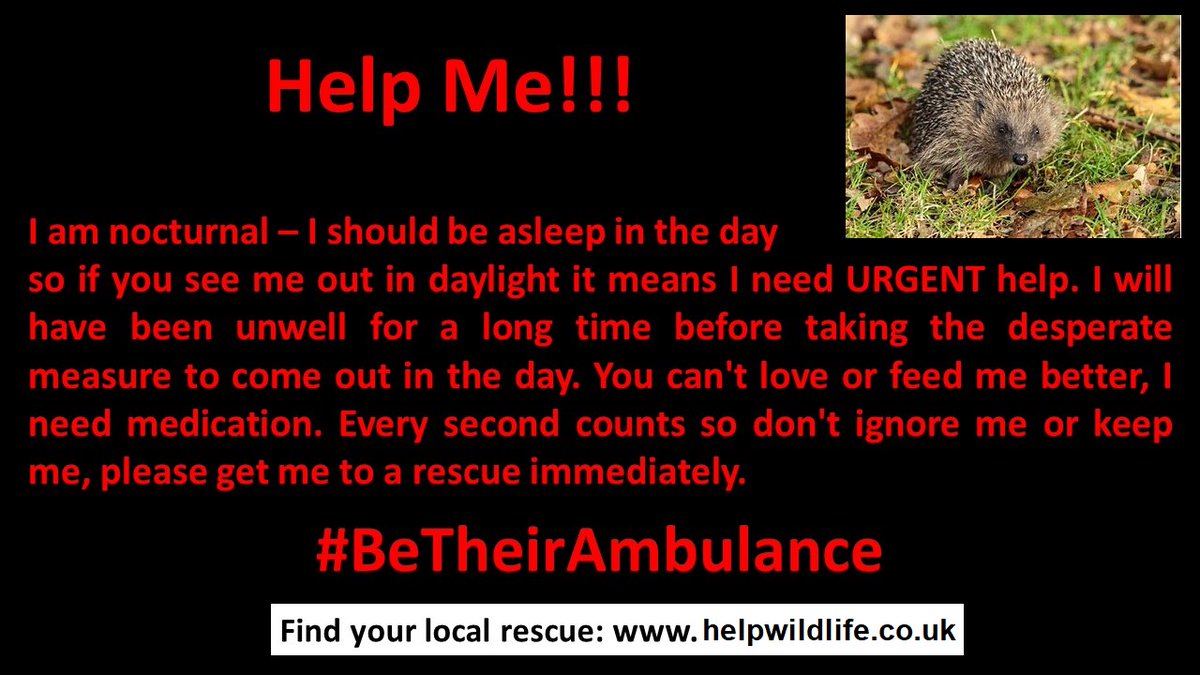 MouseMayhem's tweet photo. #BeTheirAmbulance https://t.co/E2gLNz7ver