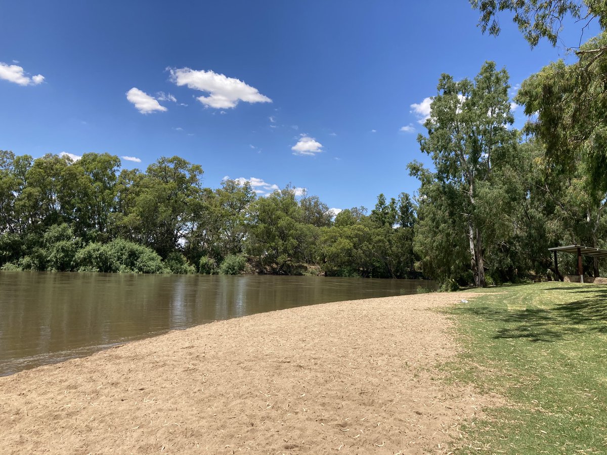 Jason Ardler tweet media