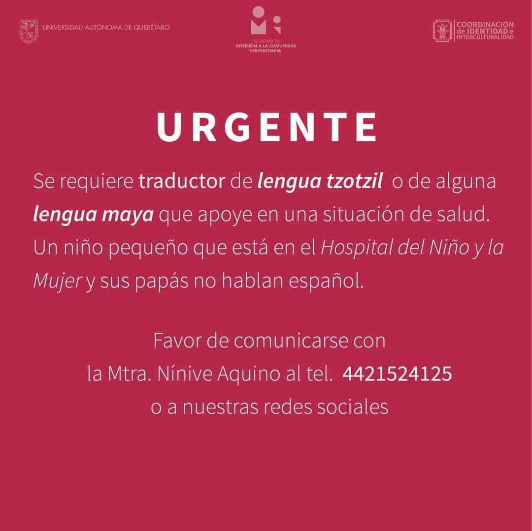 #RT ⁦<a href="/imagenqro/">Imagen Querétaro</a>⁩
