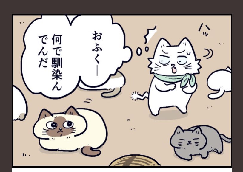 急に猫らしさを出すこのシーンめっちゃ好き https://t.co/aLWH54oAyc 