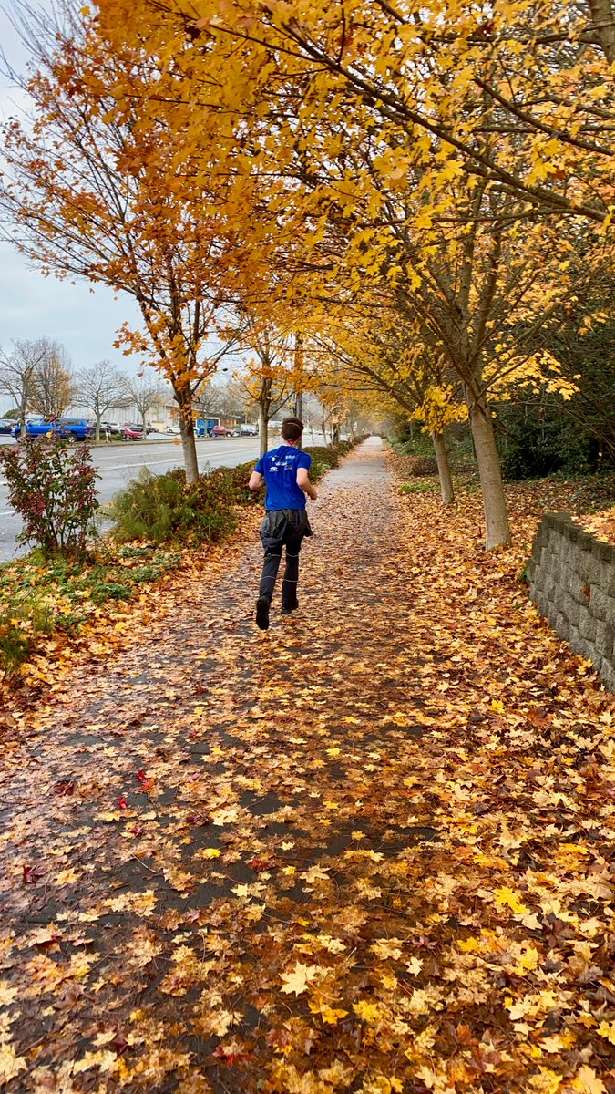 tf5design's tweet photo. Glad we were able to support the @BallardFoodBank with a #SeattleTurkeyTrot 2020-style. https://t.co/rnEV24hMRo