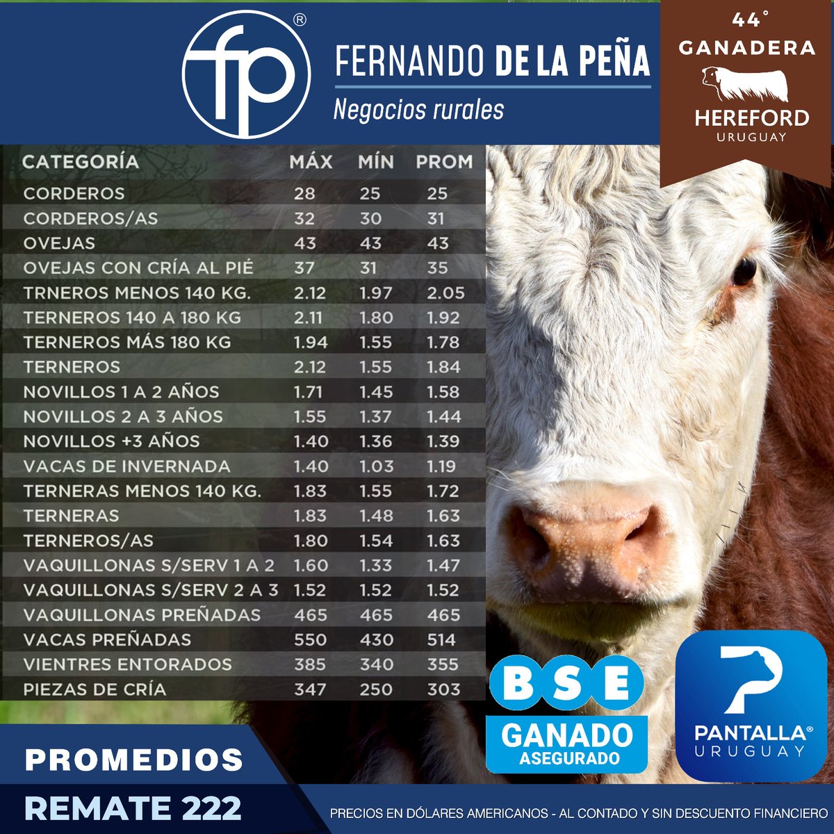 FPNegRurales's tweet photo. Promedios obtenidos en el 222º remate de @pantallauruguay https://t.co/NEszpQN3Oo