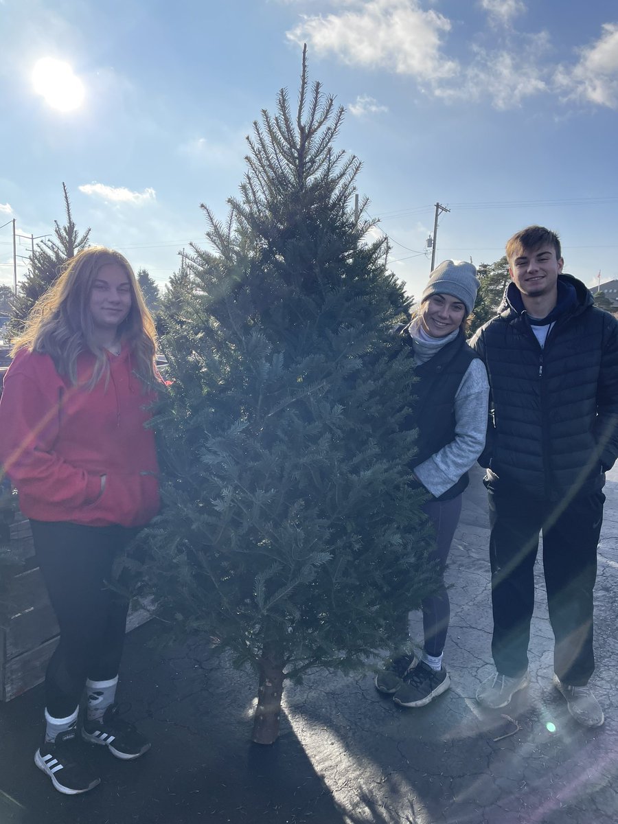 lisawolf05's tweet photo. Another tree adventure!  Hard to find that perfect tree. A little smaller than what we thought outside but still a beauty. Nala was right in on the action this year. 🎅🏼🐶🎄 https://t.co/R3eD4k1VyP