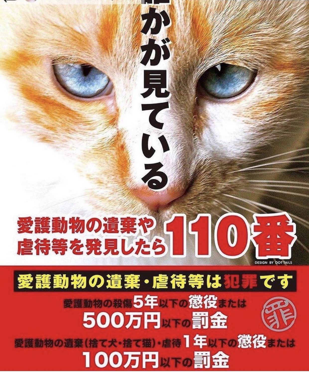 三鷹猫虐待 Twitter Search Twitter