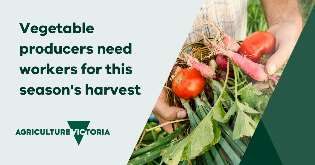 Agriculture Victoria tweet media