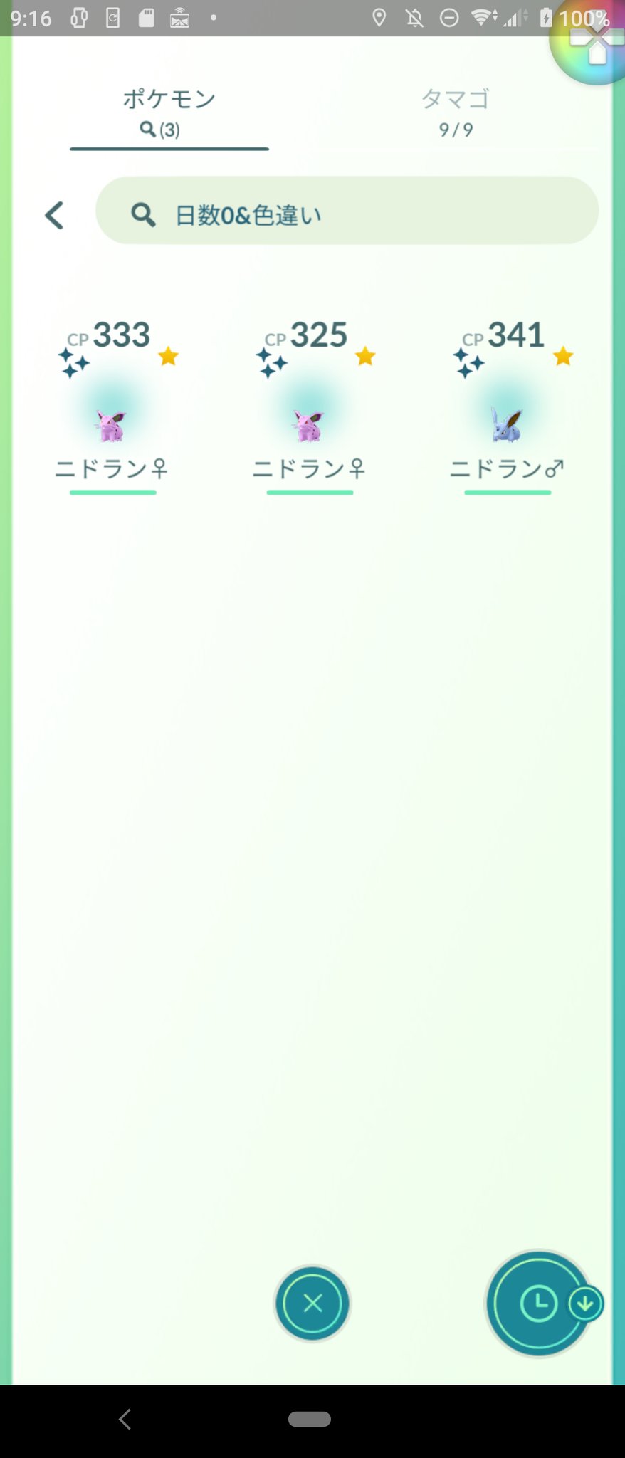 カズpika ニドラン とニドラン のリサーチデイ終了しました 色違いは ニドラン は１体 ニドラン は２体ゲット出来ました