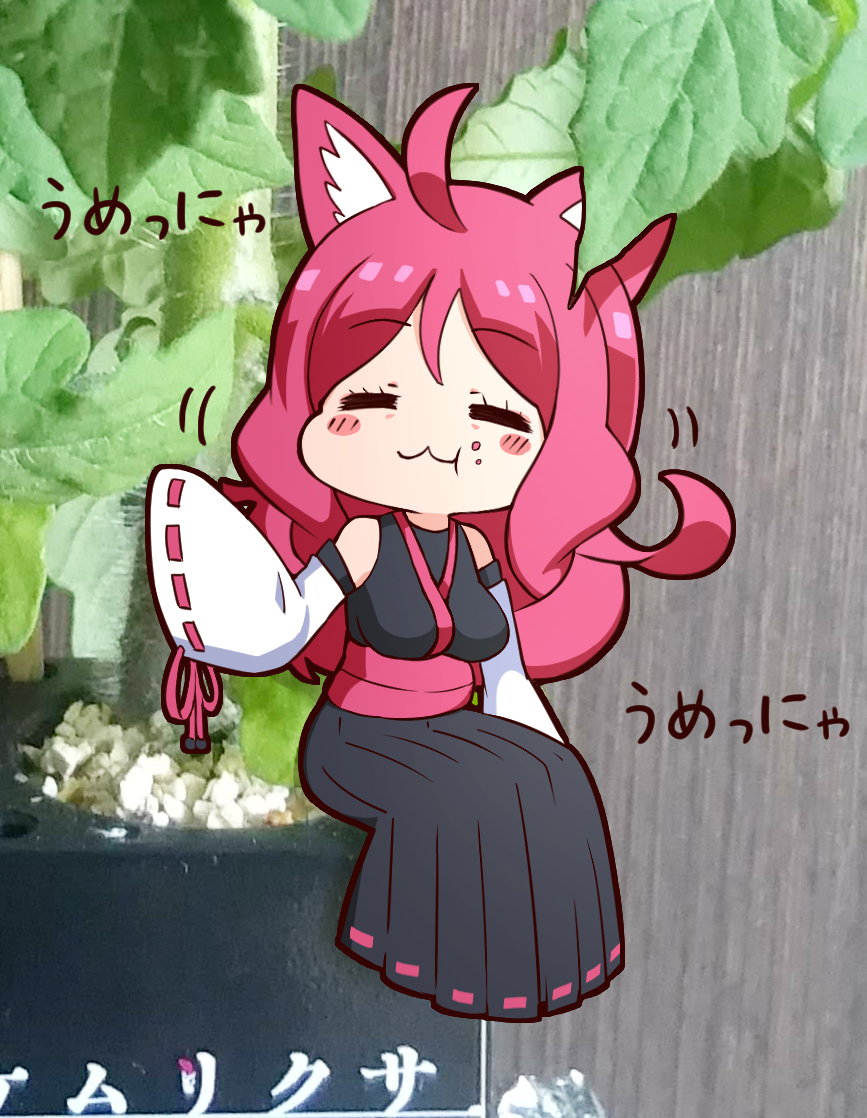 #猫と人の日 #ケムリクサ 