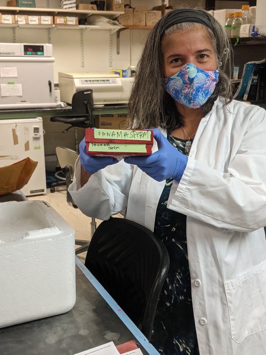 It's a covid miracle, my PI is doing lab work! With her stylish lab mask made by <a href="/julia_m_stewart/">Julia Stewart</a> <a href="/medinaLabPSU/">Medina Lab PSU</a>