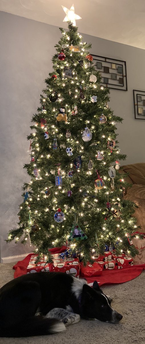 KatooraR76's tweet photo. Tree is decorated and pup is tired❤️ https://t.co/aFQS2En4An