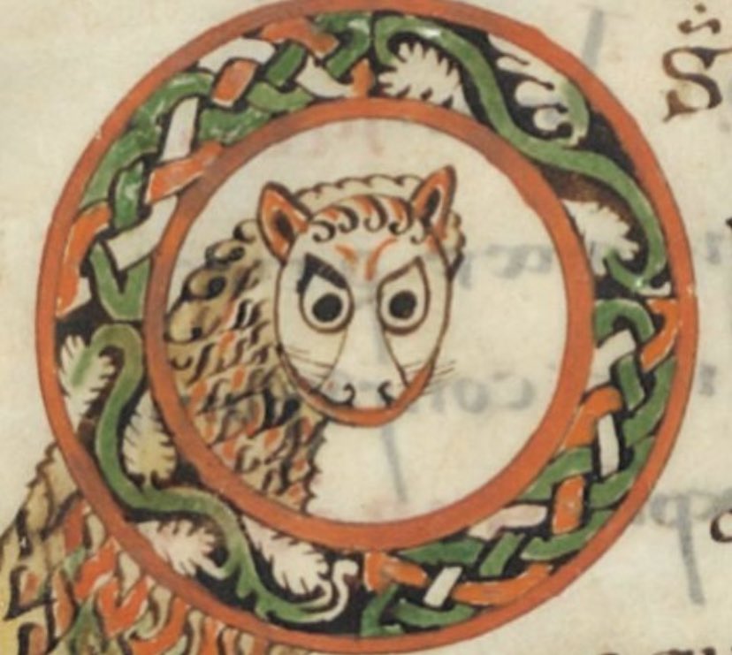 medievalcats's tweet photo. Upsetty kitty https://t.co/Sn8QmySBuu