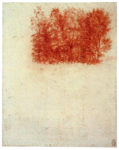 Leonardo da Vinci, A Copse of Trees, Red Chalk on Paper, 1508