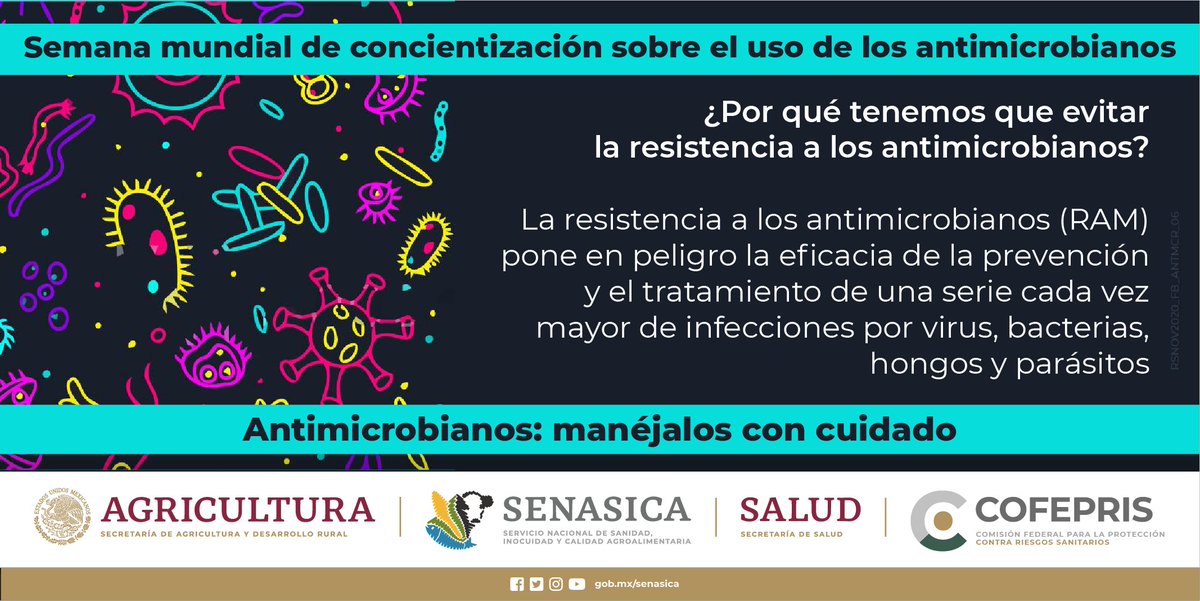 SENASICA's tweet photo. Evita la resistencia ante los #Antimicrobianos
#EvitaLaAutomedicación https://t.co/wwhTNpPSU0