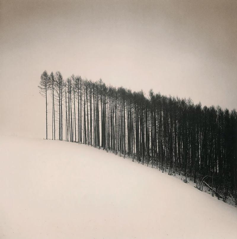 Michael Kenna, Forest Edge, Hokuto, Hokkaido, Japan, 2004