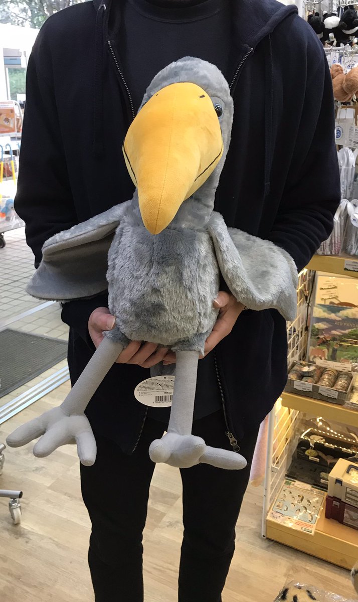 等身大ぬいぐるみ　ハシビロコウ 等身大ぬいぐるみ ハシビロコウ - メルカリ