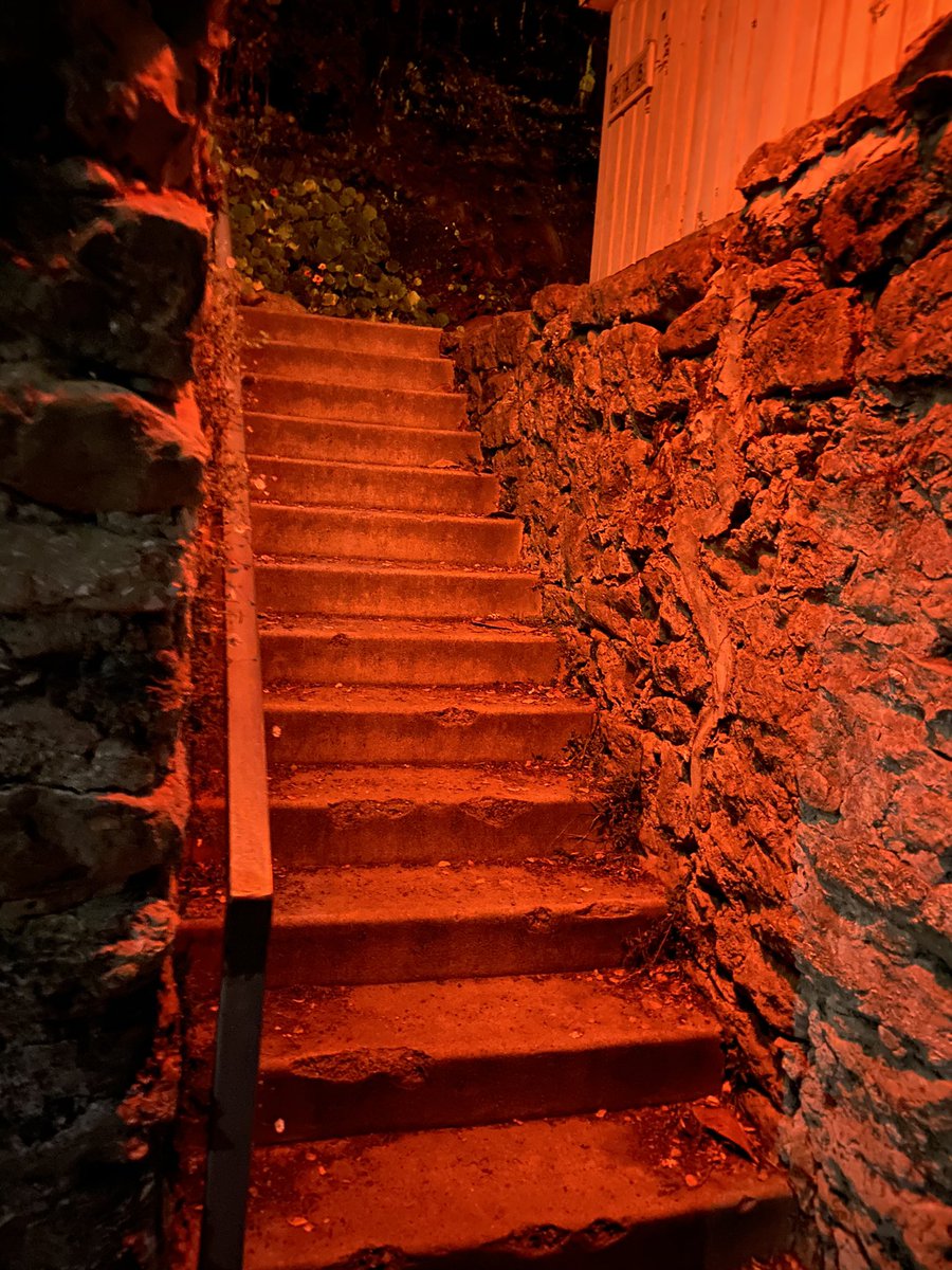 I found a secret pathway.