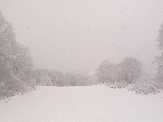myokokogen's tweet photo. Only a dusting thus far but should continue over the weekend. Check out our Myoko webcams! Link below.

Snow Reports: https://t.co/6l8KjTwNTi
Webcams: https://t.co/sW6bJFiAS9

#MyokoSnowReport #MyokoJapan #Myoko #myokoskiresort #SkiMyoko #myokokogen #myokokogenjapan #myokosnow https://t.co/0k2jxgyiVQ