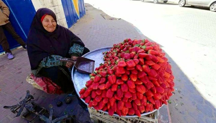 AdmireAs's tweet image. Je! #Mwenyezi_Mungu si wa kumtosheleza mja wake?
( Quran 39:36 )

Basi #halali liwe chumo letu, na #haramu iwe mbali nasi.