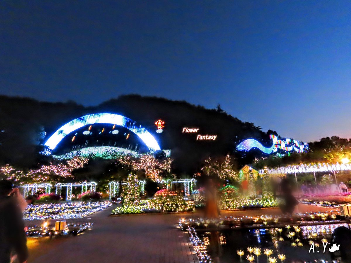 yumeasutw's tweet photo. #あしかがフラワーパーク ②
今迄は🎄クリスマスシーズンや🎍1月に出掛けていましたが、今回は密を避け早目の時期に訪問しました。
🅿️🚙もスムーズ🙆♀️
#光の花の庭
#第八回イルミネーションアワード
#イルミネーション部門第一位
#5年連続1位
#足利市
#栃木県
#11月15日訪問
#a2020 #a1128 #a202011 https://t.co/JQbonOl57y