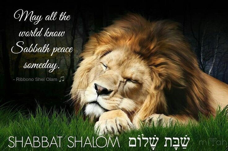 duchessPg's tweet photo. Peaceful Sabbath blessings from my home to yours.
#12Tribes #Yasharel #SetApartShabbat #CovenantFamily #SojourningStrangers #7thDayRest #TheKingdomOfYah https://t.co/CtZ3GE1T90
