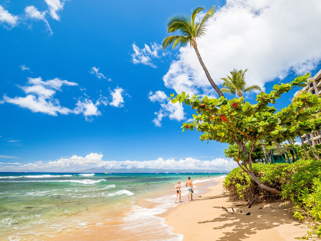 The beach was once a haven for Maui royalty due to its beautiful caramel-colored sand and gentle waves.
Read the full article: Top 6 Beaches in Hawaii
▸ https://t.co/Bdjx4nQ8vn
#beachvacation #hawaii #oahu #Kauai #Lanai #Maui #Vacations #Travel #Holidays #Trips #Top6Beaches https://t.co/5bZutr69aL