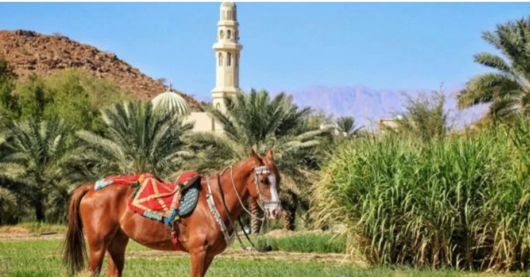 قال رسول الله صلى الله عليه وسلم "الخيل معقودٌ في نواصيها الخير"