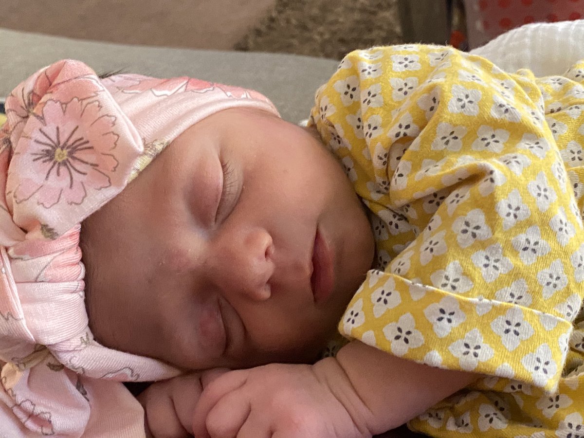 blonds250's tweet photo. Well I haven’t shared the newest little love of our lives with Twitter yet. Josephine Jameson Costa. 11/13/20 https://t.co/SbL2fAkFcr
