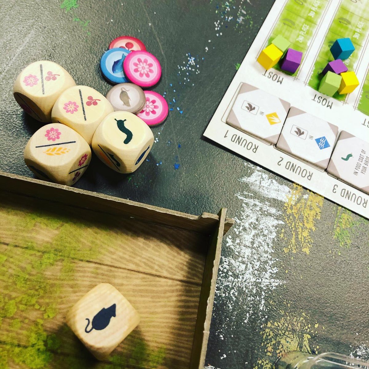 Catch2222Gaming's tweet photo. Playing #Wingspan with the #Oceania #expansion ...anyone remember what bird @adamlavazza was hoping to see in the expansion? (Hint: it was from podcast episode 10) #KyleCon #boardgames #birds #enginebuilding #wildlife #nectar #dices https://t.co/oPoPWHh07j